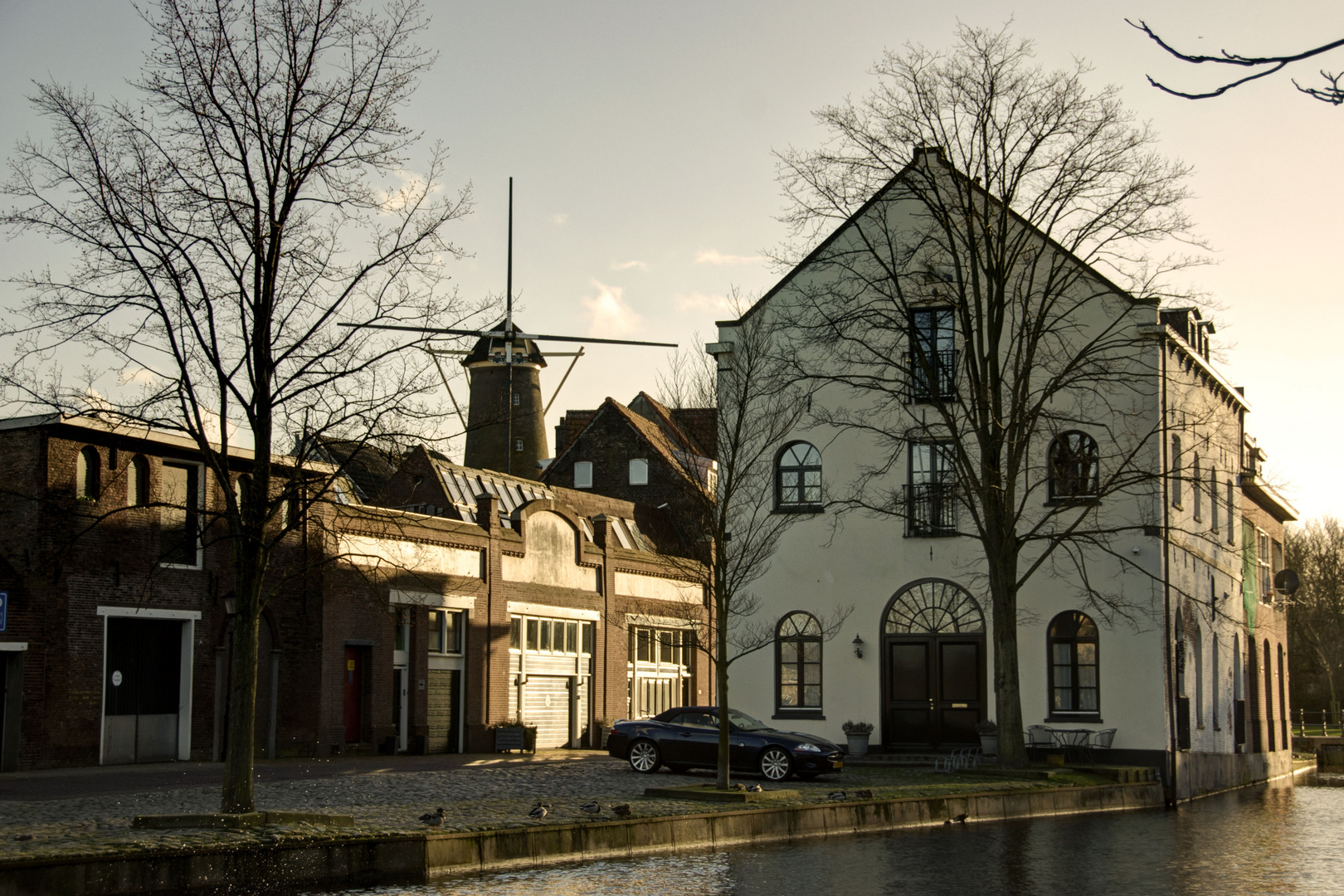 Schiedam - Noordvest - Steam Milling House "De Draak" - Windmill "De Drie Koornbloemen"