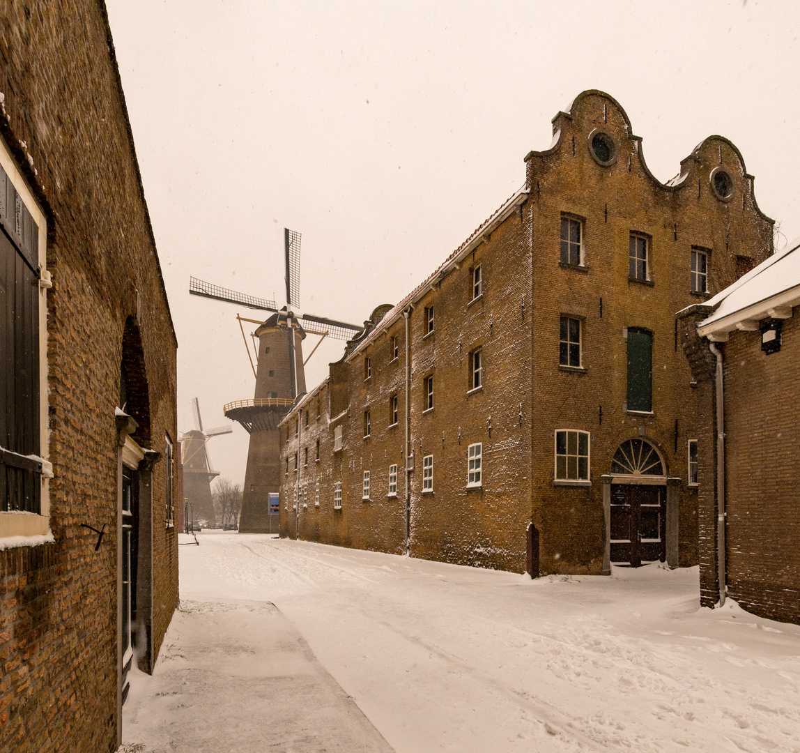 Schiedam - Noordvest - Windmill "de Palmboom"