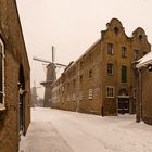 Schiedam - Noordvest - Windmill "de Palmboom"