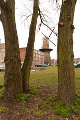 Schiedam - Palmboomstraat - Windmill "de Palmboom"