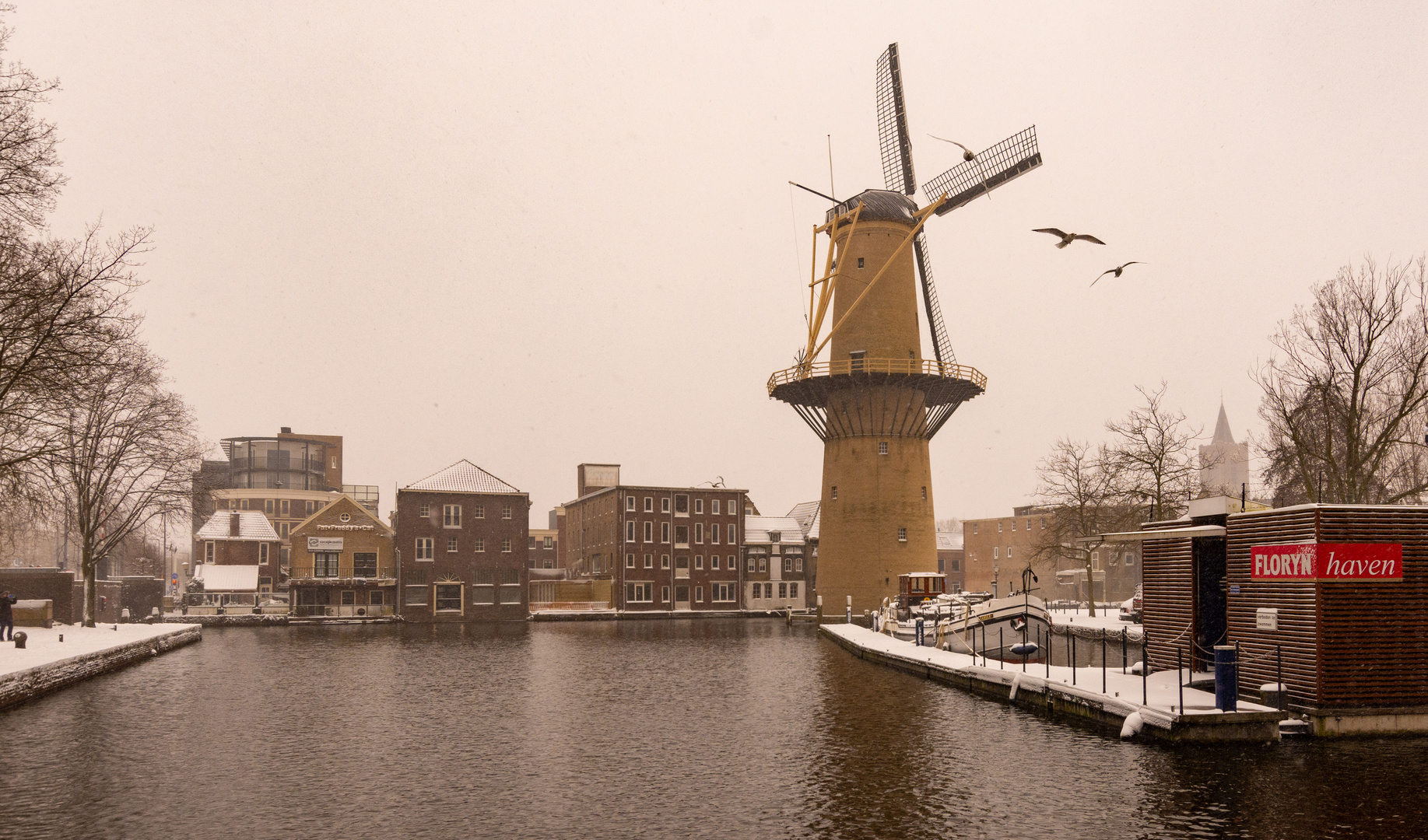 Schiedam - 's Gravelandseweg - Doeleplein - Windmill de Kameel"