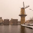 Schiedam - 's Gravelandseweg - Doeleplein - Windmill de Kameel"