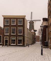 Schiedam - Vismarkt - Windmill "de Walvisch"