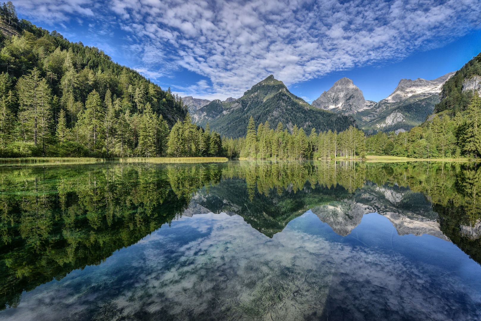 "Schiederweiher"