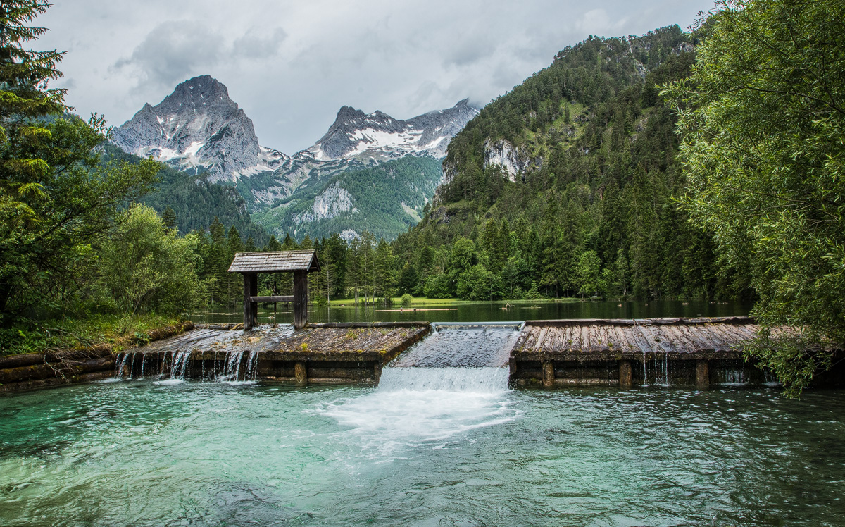 Schiederweiher