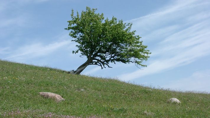 Schiefe der Ekliptik