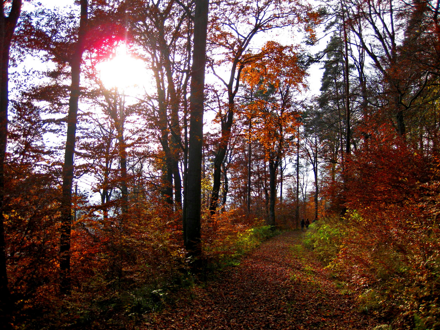 Schiefe Ebene-Wanderweg