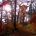 Schiefe Ebene-Wanderweg