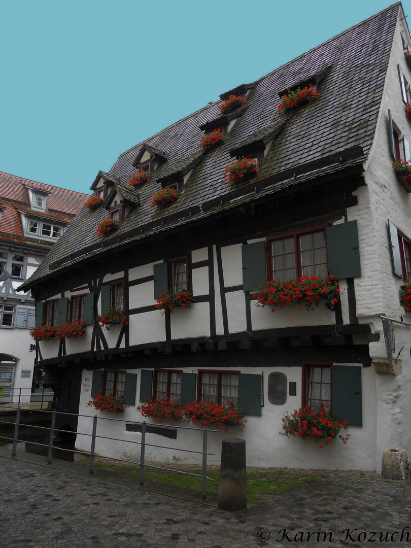 Schiefe Haus 