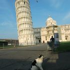 Schiefer Turm mit Katze