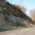 Schieferwand , im Mittelrhein ( Niederheimbach)