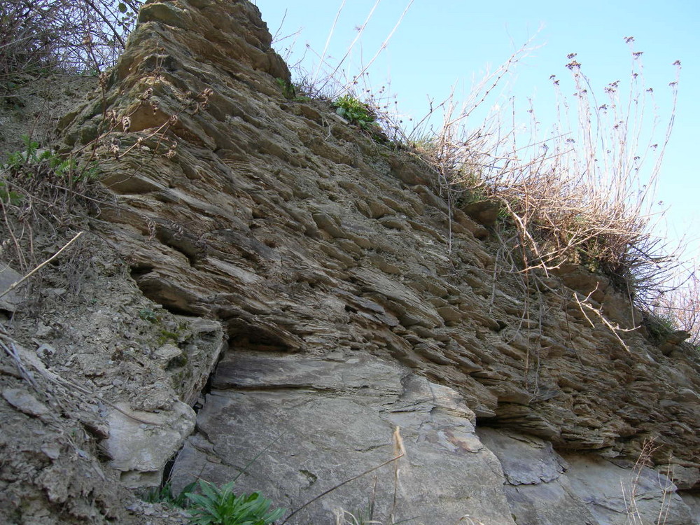 Schieferwand , im Mittelrhein ( Niederheimbach)