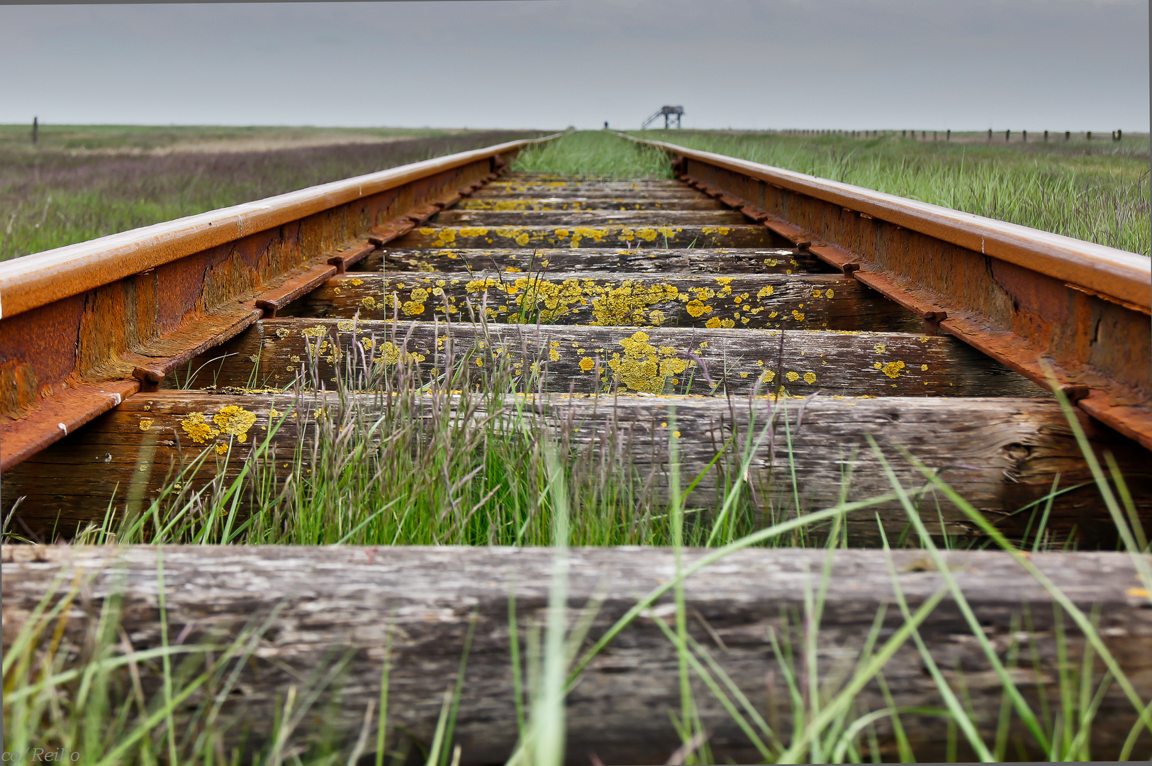 Schienen der Lorenbahn ....