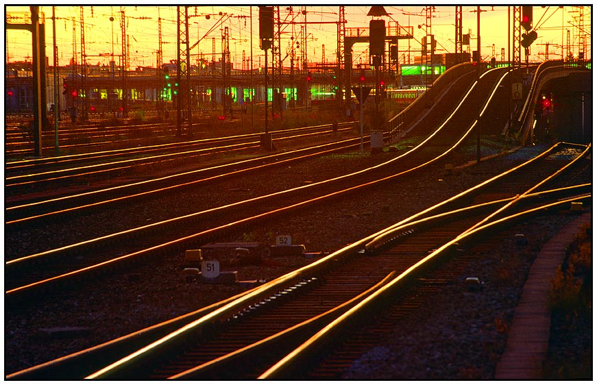 Schienen im Abendlicht