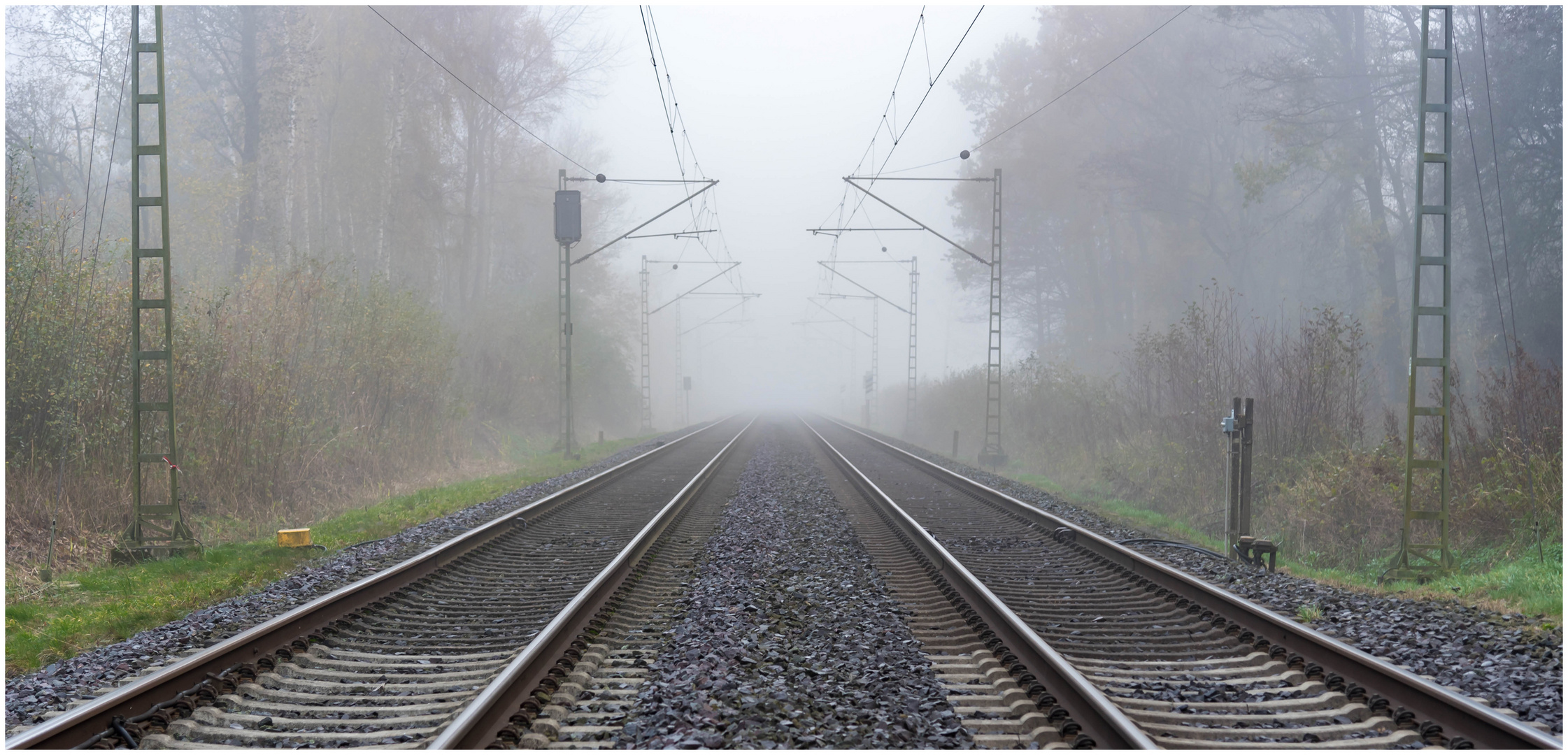 Schienen im Nebel