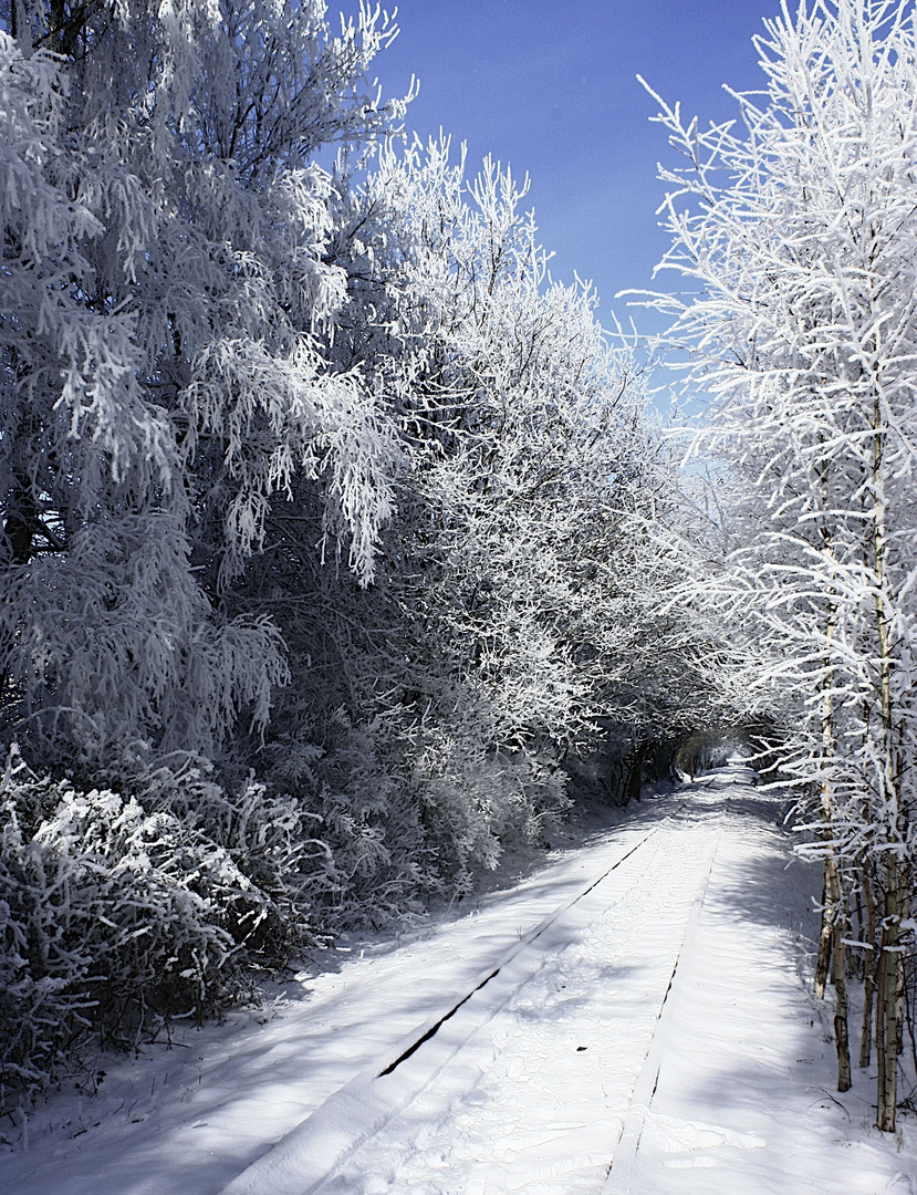 Schienen im Schnee