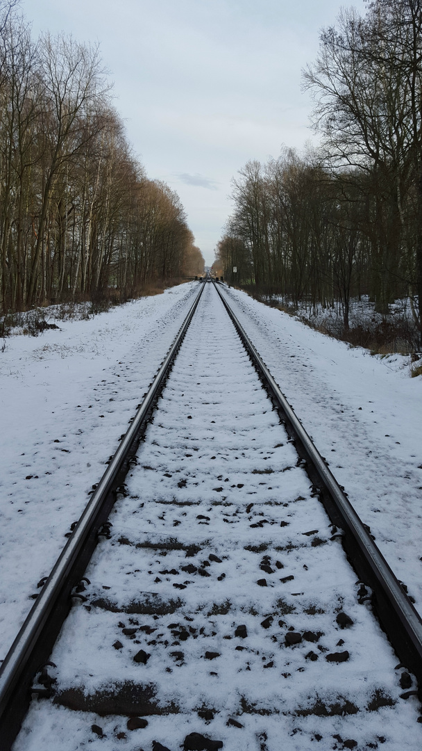 Schienen im Winter