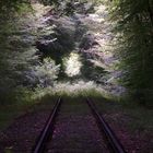 Schienen in den Märchenwald