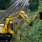 Schienenbagger kurz vor Haltestelle Schaberg in Solingen