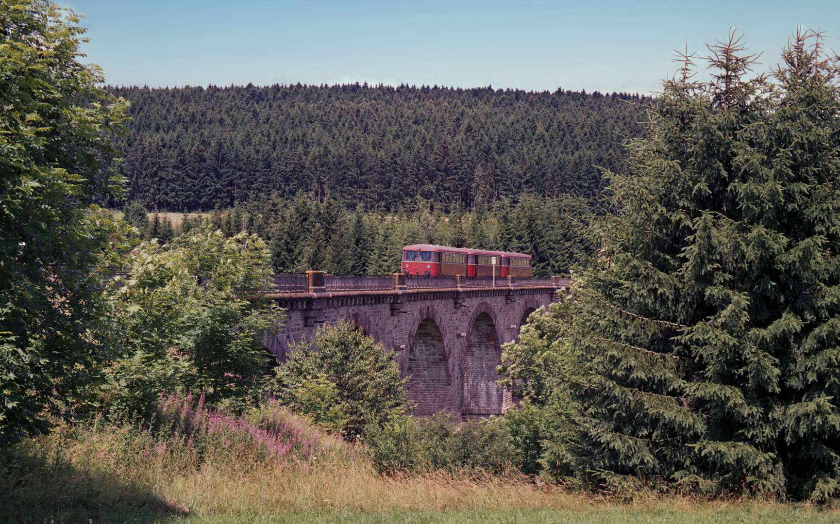 Schienenbus auf dem Viadukt bei Unadingen