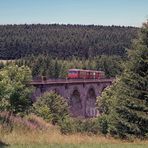 Schienenbus auf dem Viadukt bei Unadingen