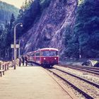 Schienenbus im Schwarzwald