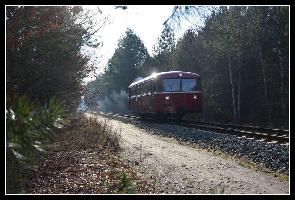 Schienenbusfahrt 2016 -1