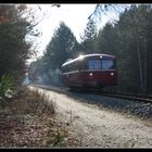 Schienenbusfahrt 2016 -1