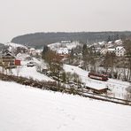 Schienenbusfahrt mit Hindernissen