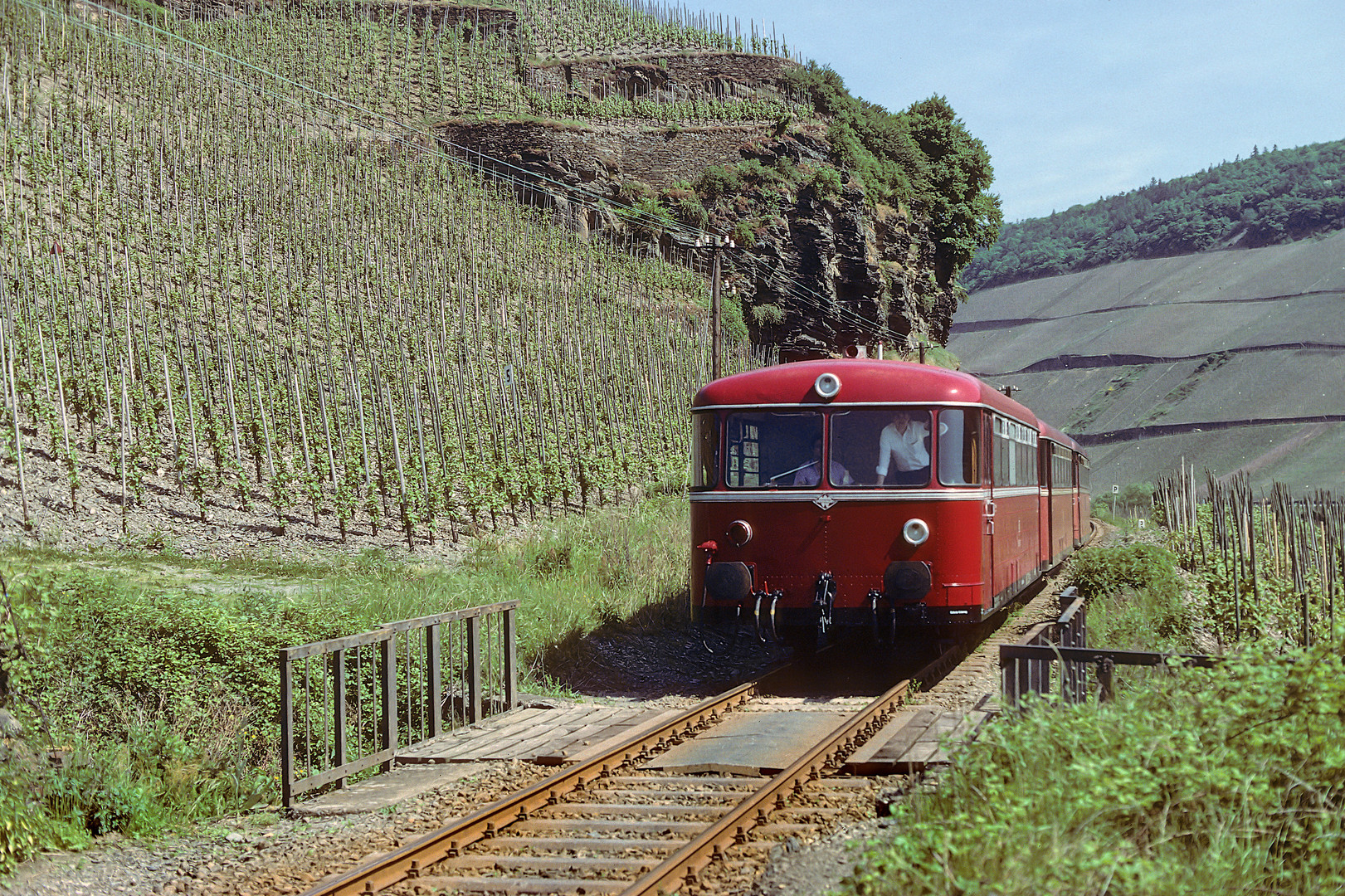 Schienenbusidylle an der Mosel