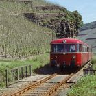 Schienenbusidylle an der Mosel