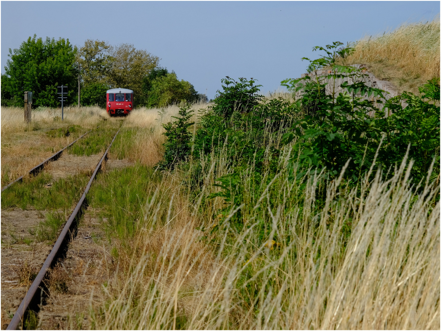 Schienenbusvorbeifahrt 2