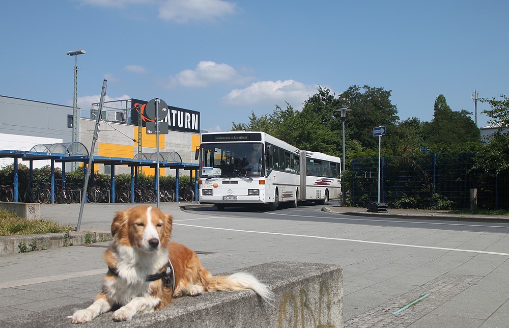 Schienenersatzverkehr ist ihm egal....