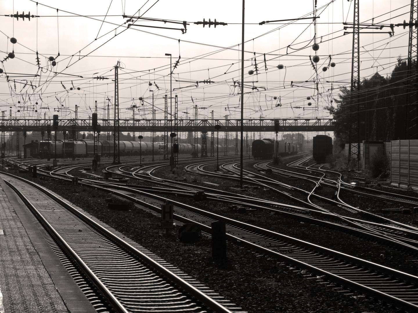 Schienengewirr: Bahnhof Mainz-Bischofsheim