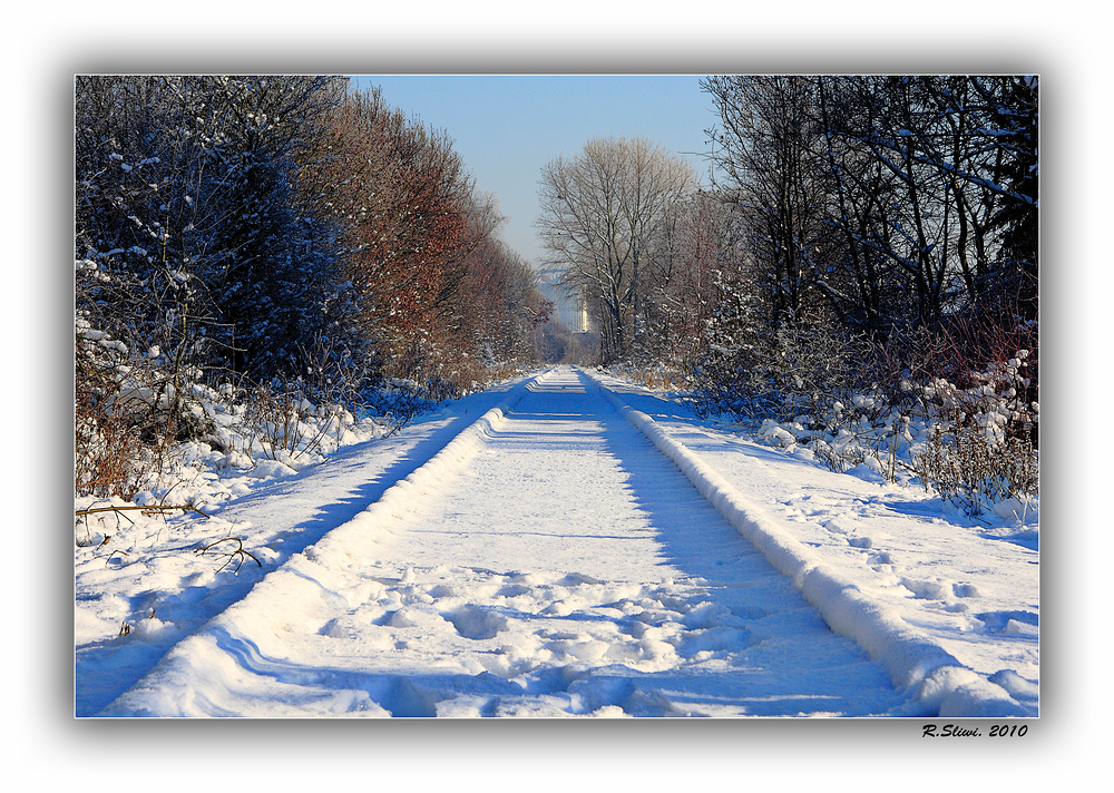 Schienenstrang im Schnee