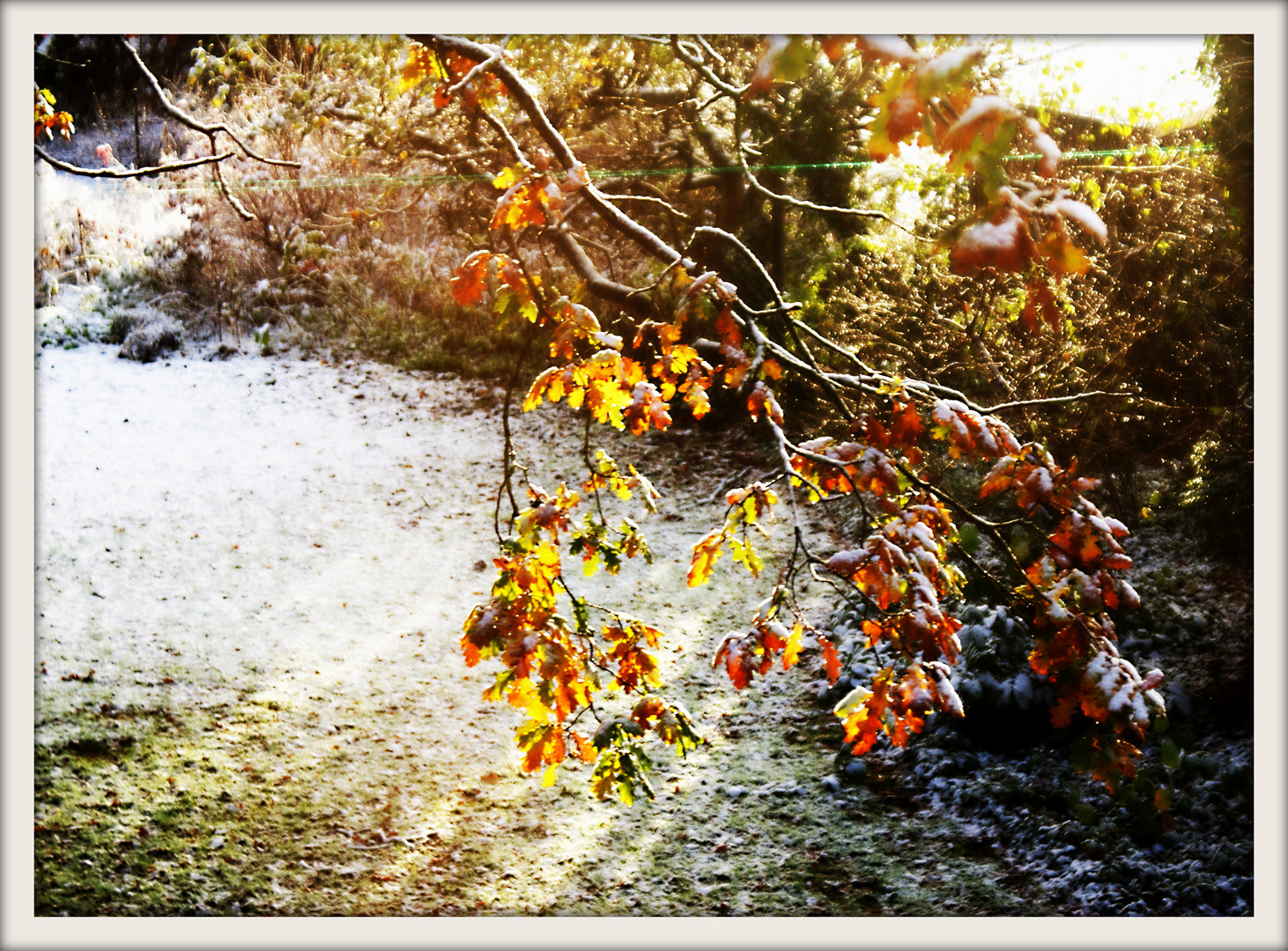 Schierbrok/Stenum: Der erste Schnee im Winter 2015/2016