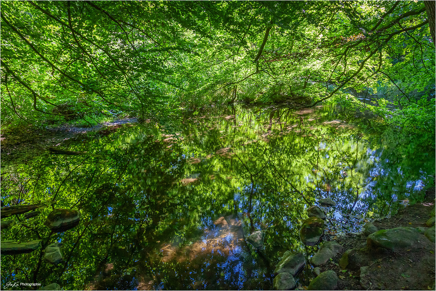 Schierenseebach