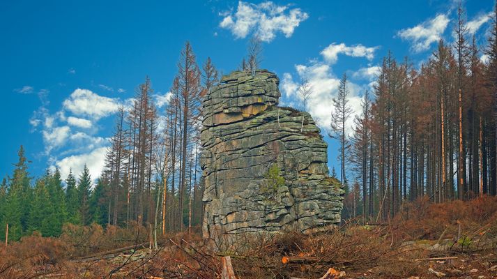 Schierker Feuerstein
