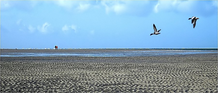 Schiermonnikoog-1