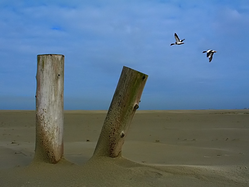 Schiermonnikoog-2