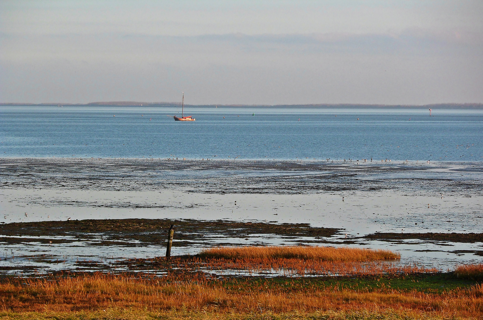 Schiermonnikoog