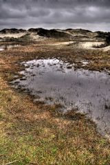 Schiermonnikoog ...