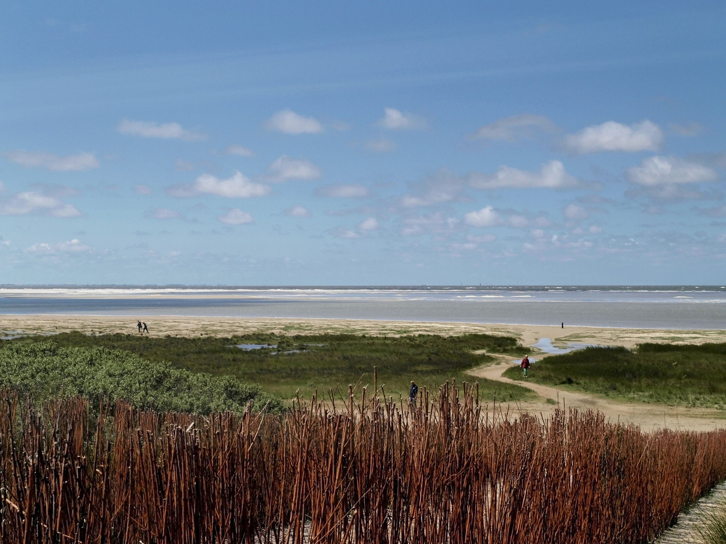 schiermonnikoog