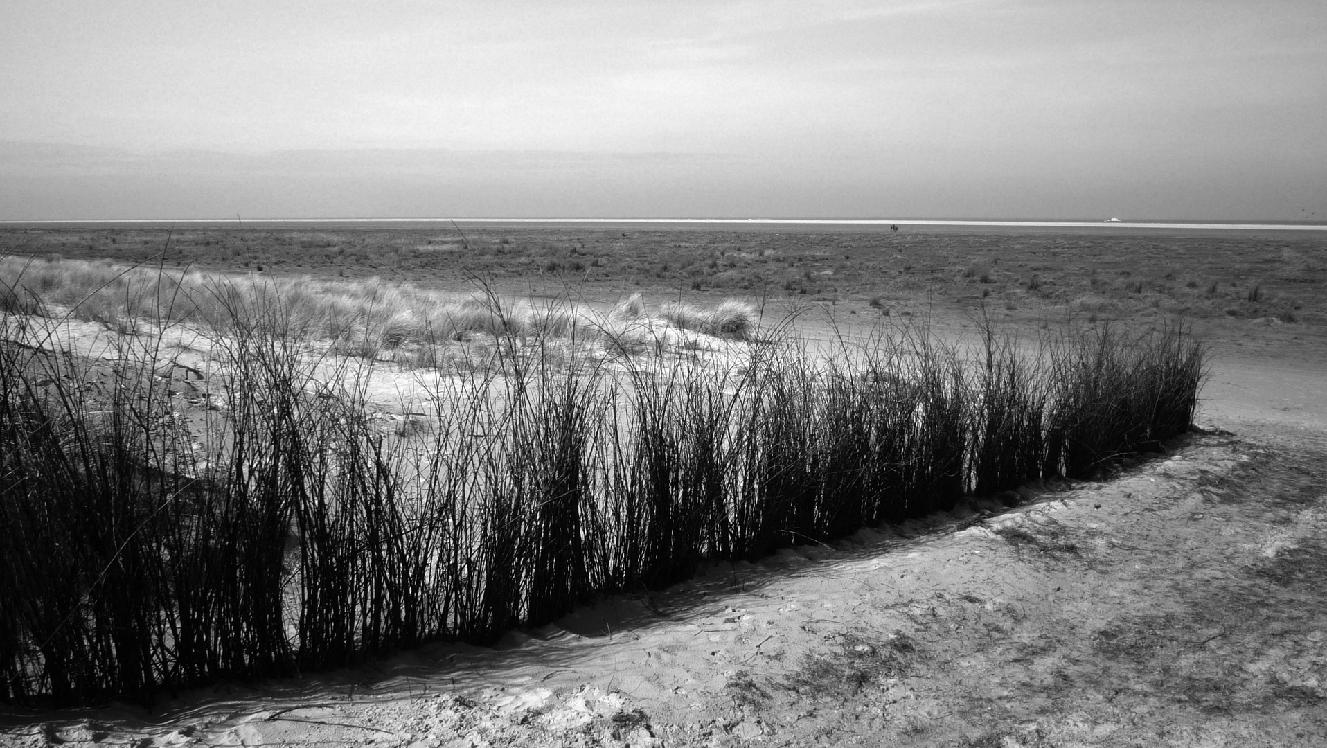 Schiermonnikoog Foto & Bild landschaft, meer & strand, watt Bilder