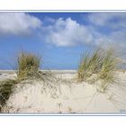 Schiermonnikoog II.