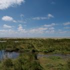 schiermonnikoog - kwelder