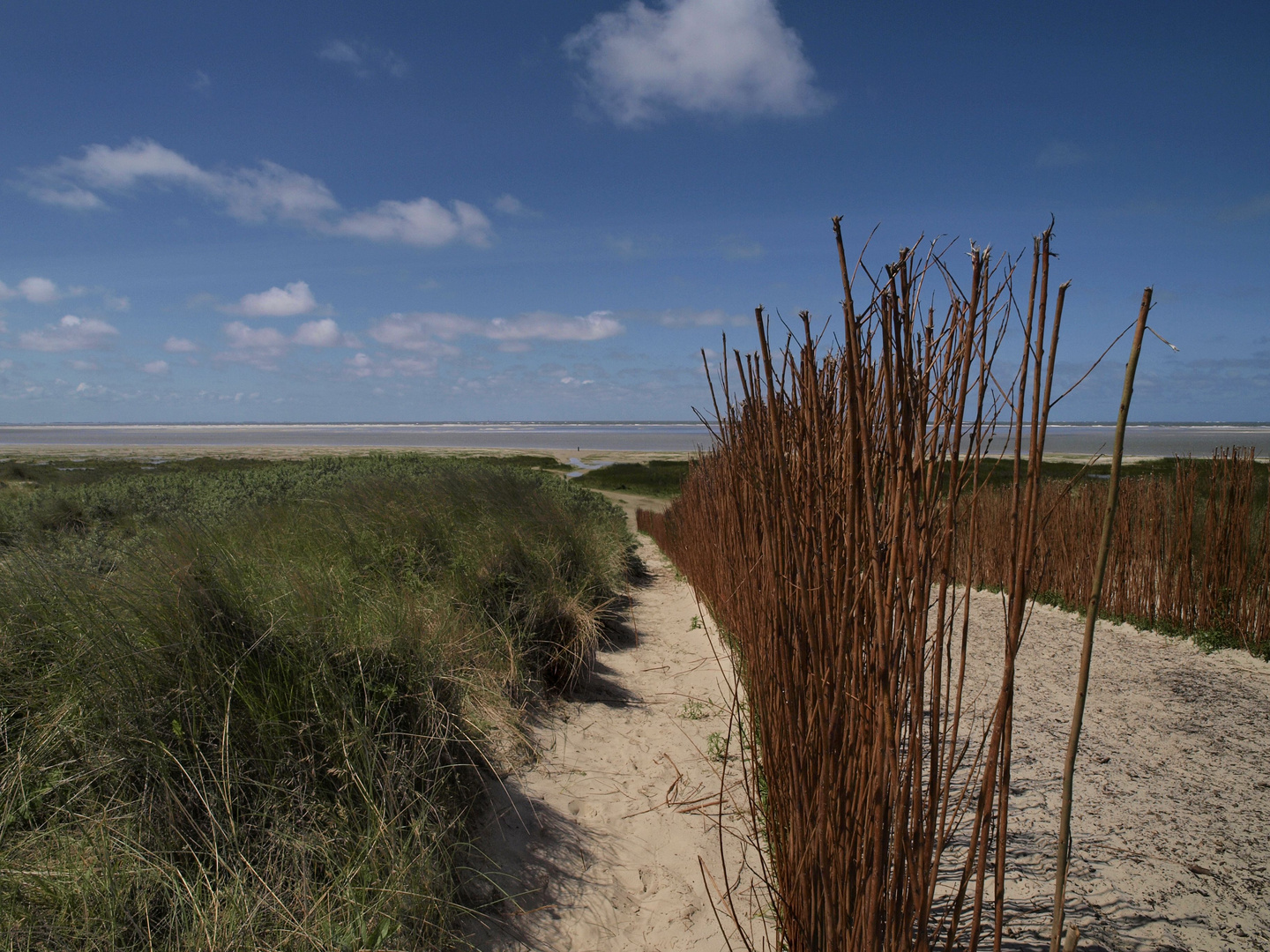 schiermonnikoog - noorderstrand