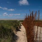 schiermonnikoog - noorderstrand