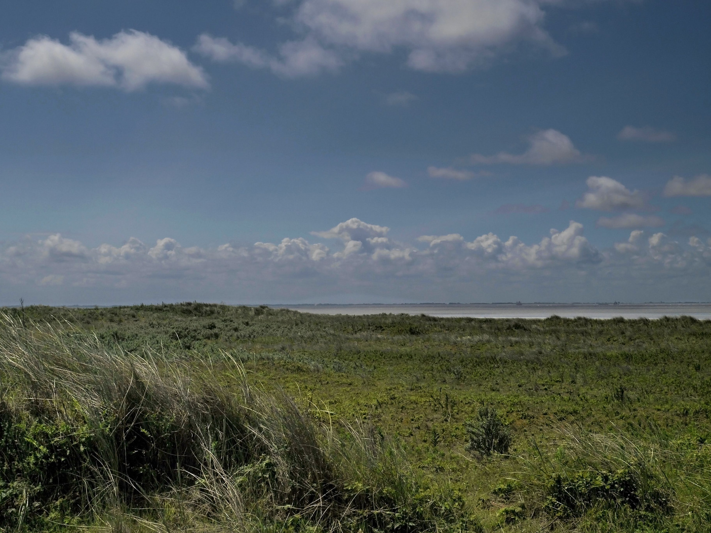 schiermonnikoog westerstrand