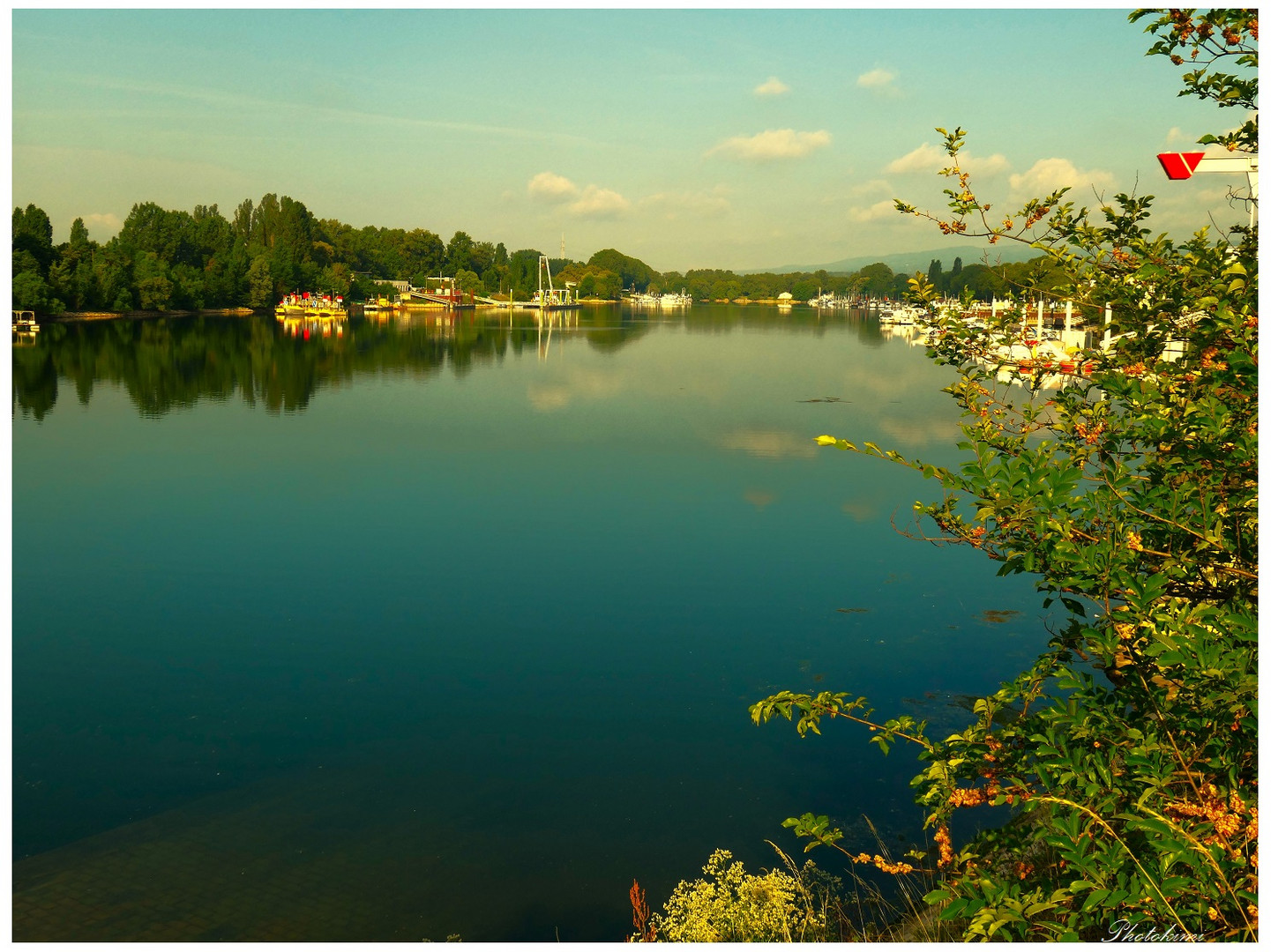 Schiersteier Bootshafen am Rhein